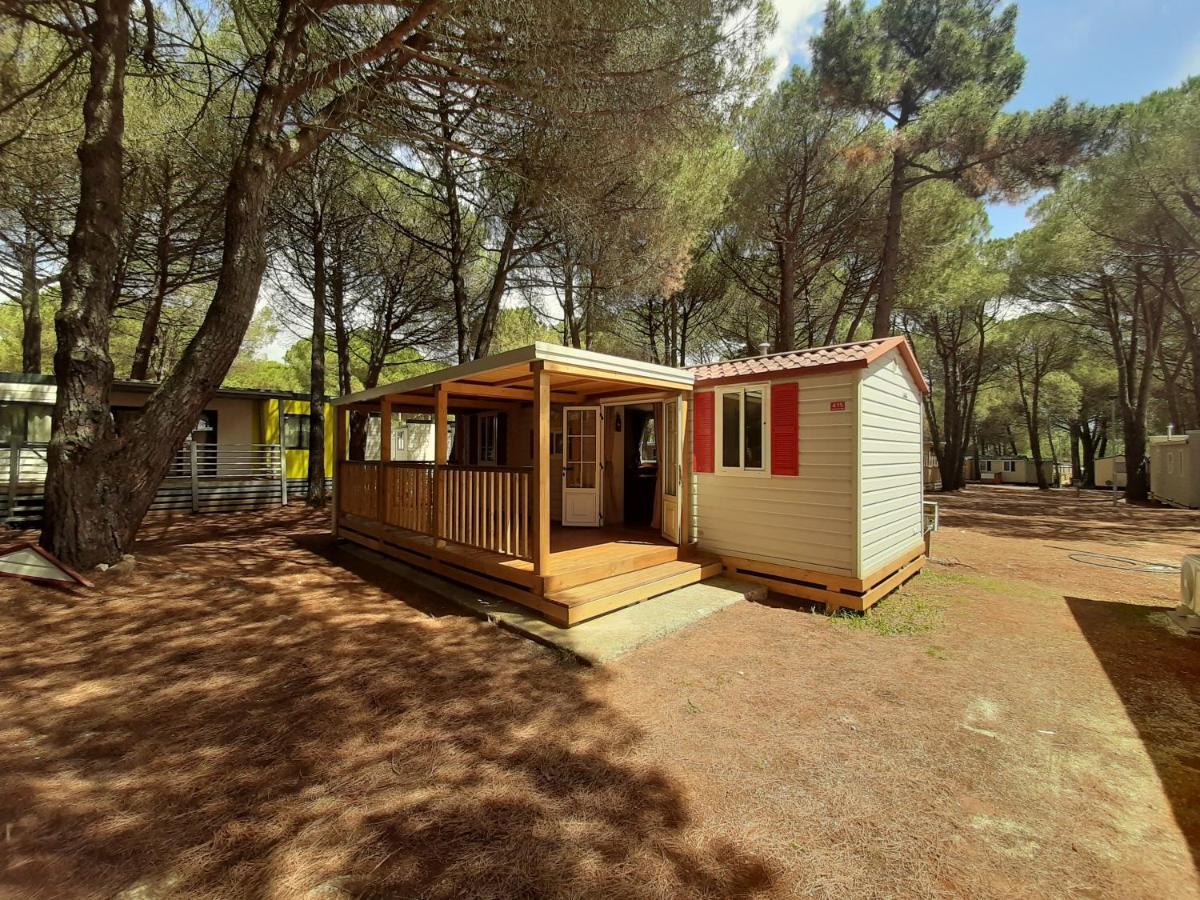Lux Camp - Mobile Homes In Bi Village Fažana Zewnętrze zdjęcie
